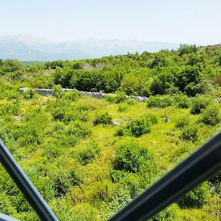 Talija Podgorica